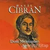 Dost Mektupları - Halil Cibran - Anahtar Kitaplar Yayınevi