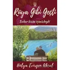 Rüya Gibi Geçti - Hülya Evirgen Akçal - Luna Yayınları