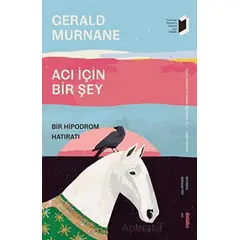 Acı İçin Bir Şey - Bir Hipodrom Hatıratı - Gerald Murnane - Dedalus Kitap