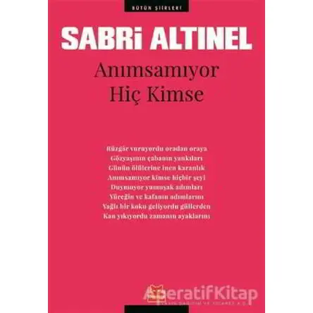 Anımsamıyor Hiç Kimse - Sabri Altınel - Kırmızı Kedi Yayınevi