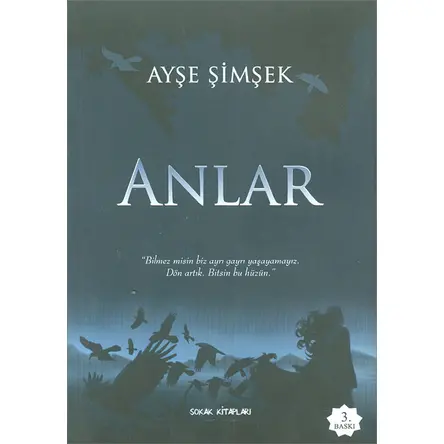 Anlar - Ayşe Şimşek- Sokak Kitapları