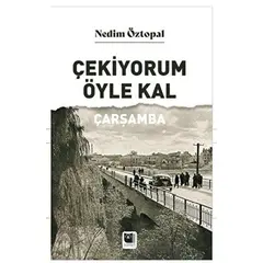 Çekiyorum Öyle Kal Çarşamba - Nedim Özpolat - Somut Yayınları