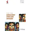 Çağdaş Güney Afrika Şiiri Antolojisi - İlyas Tunç - Klaros Yayınları