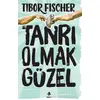 Tanrı Olmak Güzel - Tibor Fischer - April Yayıncılık