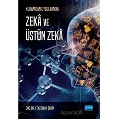 Kuramdan Uygulamaya Zeka ve Üstün Zeka - Feyzullah Şahin - Nobel Akademik Yayıncılık