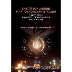 Enerji Şoklarının Makroekonomik Etkileri: Türkiye İçin Bir Genel Denge Modeli Uygulaması