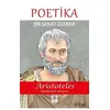 Poetika - Aristoteles - Platanus Publishing