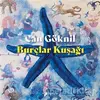 Burçlar Kuşağı - Can Göknil - Desen Yayınları