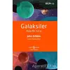 Galaksiler - Kısa Bir Giriş - John Gribbin - İş Bankası Kültür Yayınları