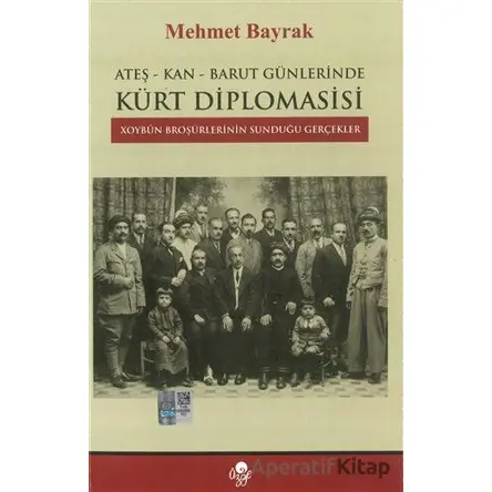 Ateş-Kan-Barut Günlerinde Kürt Diplomasisi - Mehmet Bayrak - Öz-Ge Yayınları