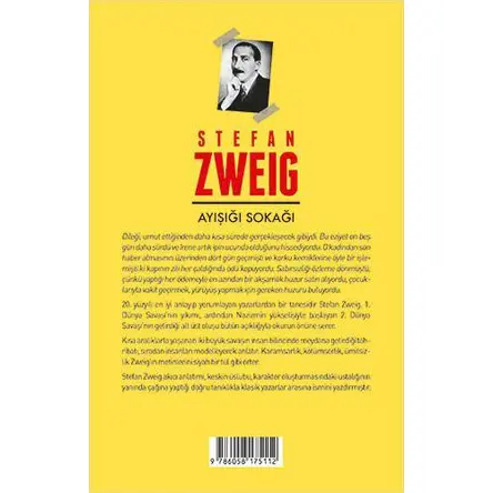 Ayışığı Sokağı - Stefan Zweig - Aperatif Kitap Yayınları