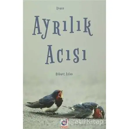 Ayrılık Acısı - Mehmet Aslan - Dua Yayınları