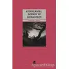Aydınlanma, Devrim ve Romantizm - Frederick C. Beiser - Ayrıntı Yayınları