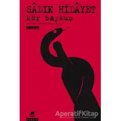 Kör Baykuş - Sadık Hidayet - Ayrıntı Yayınları