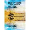 Çölde Yeşerdi Sol Yanım - Şivan Ali Yılmazdağ - Babek Yayınları