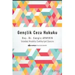 Gençlik Ceza Hukuku - Cengiz Apaydın - Maltepe Üniversitesi Yayınları