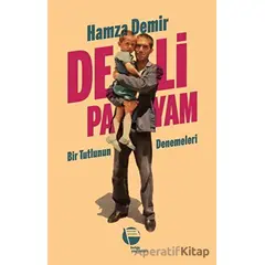 Deli Payam - Hamza Demir - Belge Yayınları