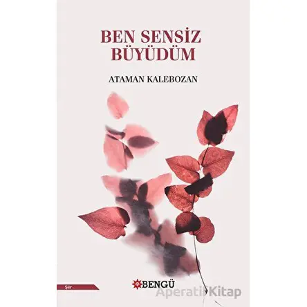 Ben Sensiz Büyüdüm - Ataman Kalebozan - Bengü Yayınları