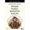 İnsan Nasıl Hayatta Kaldı - Andrew Doig - Beyaz Baykuş Yayınları