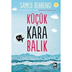 Küçük Kara Balık - Samed Behrengi - Bilgi Yayınevi