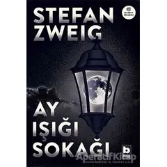 Ay Işığı Sokağı - Stefan Zweig - Bilgi Yayınevi