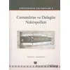 Camandıras ve Dalagöz Nekropolleri - Stratonikeia Çalışmaları 6