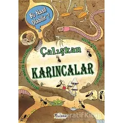 Çalışkan Karıncalar - Bu Nasıl Olabilir? - Marcin Brykczynski - Teleskop Popüler Bilim