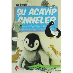 Şu Acayip Anneler - Tarık Uslu - Uğurböceği Yayınları