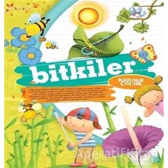 Bitkiler - Gülsüm Öztürk - Kariyer Yayınları