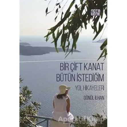 Bir Çift Kanat Bütün İstediğim - Gönül İlhan - Nota Bene Yayınları