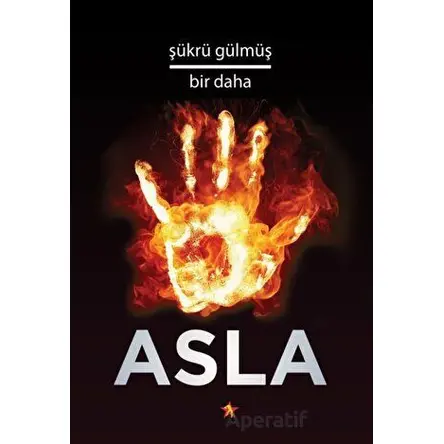 Bir Daha Asla - Şükrü Gülmüş - Peri Yayınları