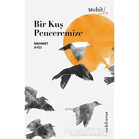 Bir Kuş Penceremize - Mehmet Aycı - Muhit Kitap