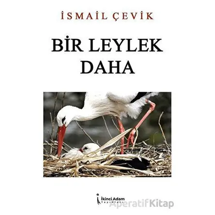 Bir Leylek Daha - İsmail Çevik - İkinci Adam Yayınları