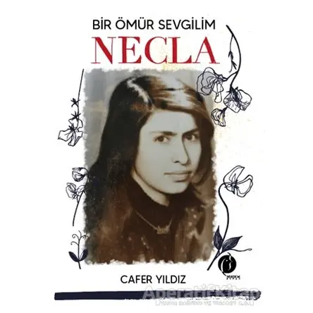 Bir Ömür Sevgilim Necla - Cafer Yıldız - Herdem Kitap