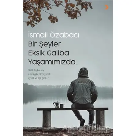 Bir Şeyler Eksik Galiba Yaşamımızda - İsmail Özabacı - Cinius Yayınları