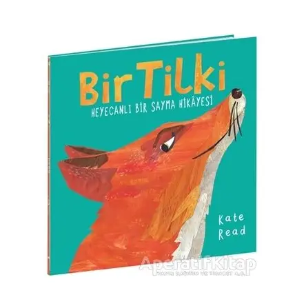 Bir Tilki - Kate Read - Beta Kids