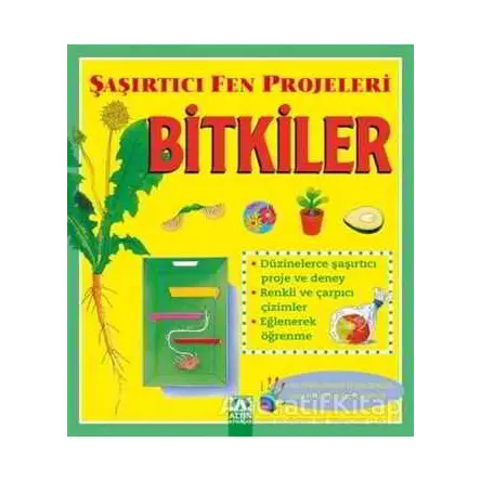 Bitkiler - Şaşırtıcı Fen Projeleri - Sally Hewitt - Altın Kitaplar