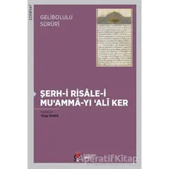 Gelibolulu Süruri - Şerh-i Risale-i Muamma-yı Ali Ker - Tolga Öntürk - DBY Yayınları