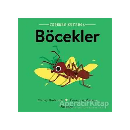 Böcekler - Tepeden Kuyruğa - Stacey Roderick - Domingo Yayınevi