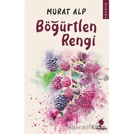 Böğürtlen Rengi - Murat Alp - Morena Yayınevi