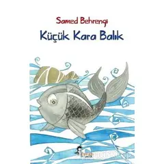 Küçük Kara Balık - Samed Behrengi - Boyalıkuş Çocuk