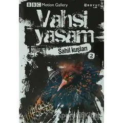 Vahşi Yaşam 2 - Sahil Kuşları - Derek Niemann - Boyut Yayın Grubu