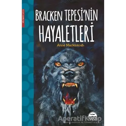 Bracken Tepesinin Hayaletleri - Anne Mackintosh - Martı Yayınları