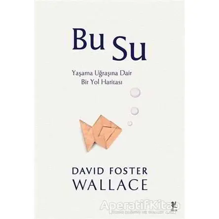 Bu Su - David Foster Wallace - Siren Yayınları