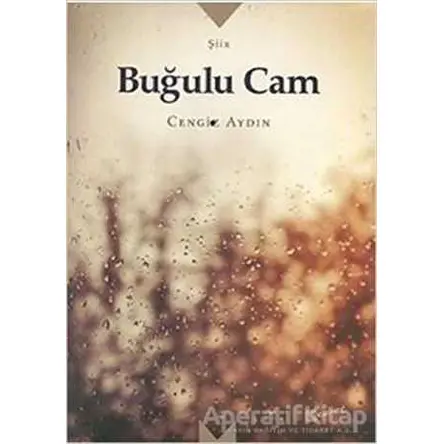 Buğulu Cam - Cengiz Aydın - Meserret Yayınları