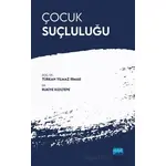 Çocuk Suçluluğu - Rukiye Kızıltepe - Nobel Akademik Yayıncılık