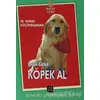 Baba Bana Köpek Al - M. Murat Küçükbaşaran - Bulut Yayınları