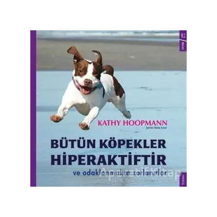 Bütün Köpekler Hiperaktiftir ve Odaklanmakta Zorlanırlar - Kathy Hoopmann - Sola Kidz