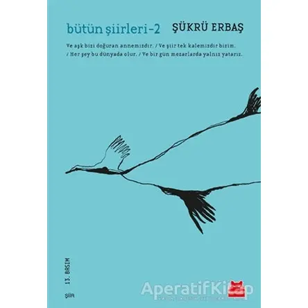 Bütün Şiirleri 2 - Şükrü Erbaş - Kırmızı Kedi Yayınevi