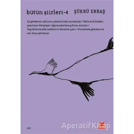 Bütün Şiirleri 4 - Şükrü Erbaş - Kırmızı Kedi Yayınevi